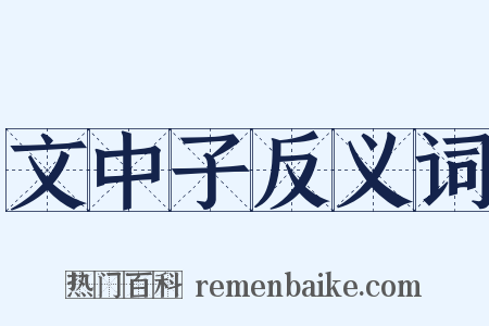 文中子反义词是什么意思的图片